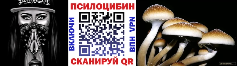 Псилоцибиновые грибы Psilocybe  купить наркотики сайты  Приморск 